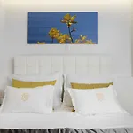 Apartman Didi